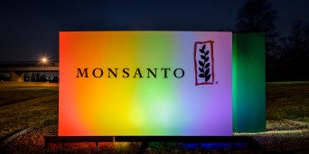 Rainbow-Monsanto-sign